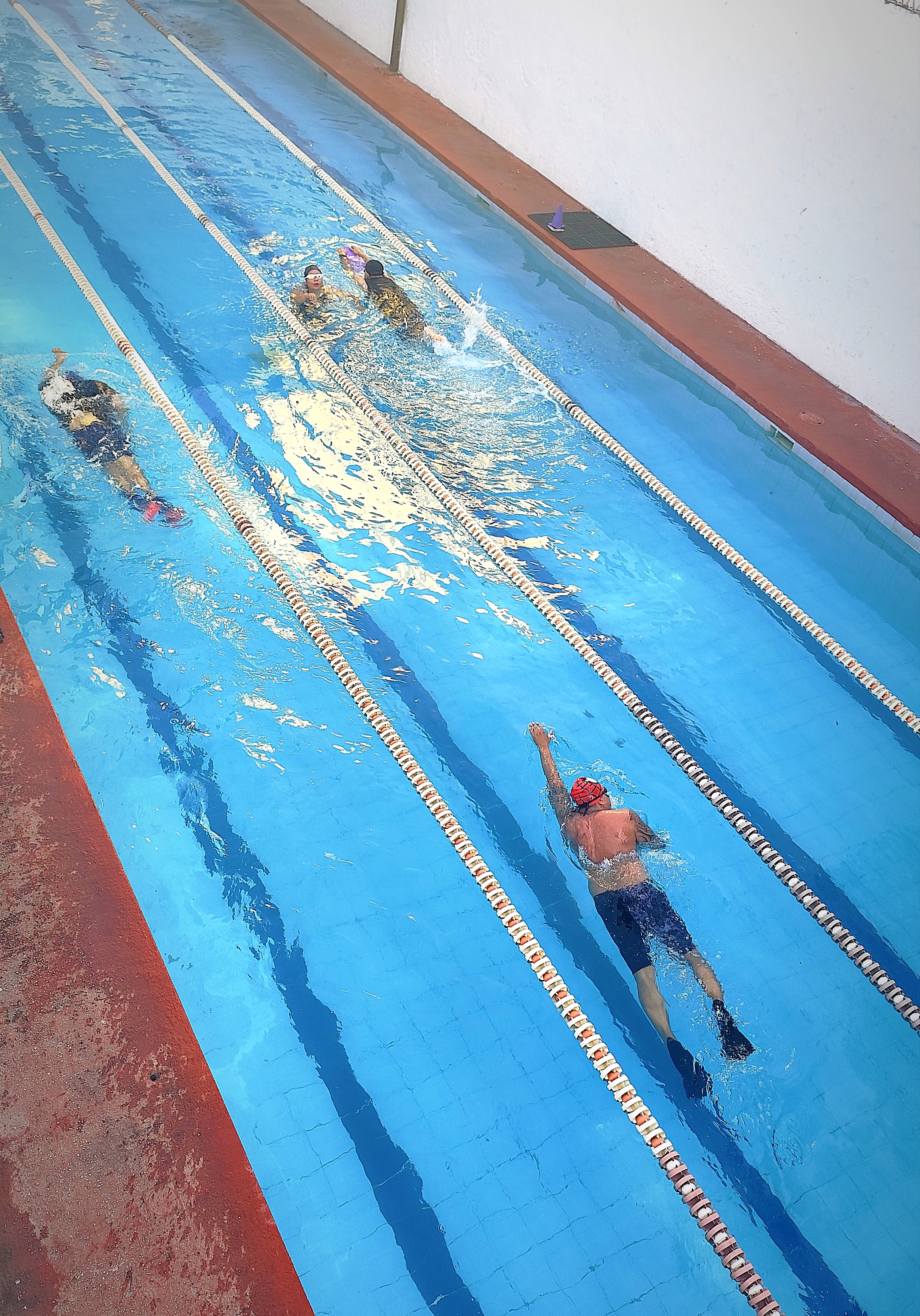 Entrenamiento en Palapas Protudec